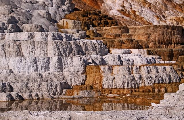 058 yellowstone, mammoth hot springs, lower terraces, palette spring.JPG